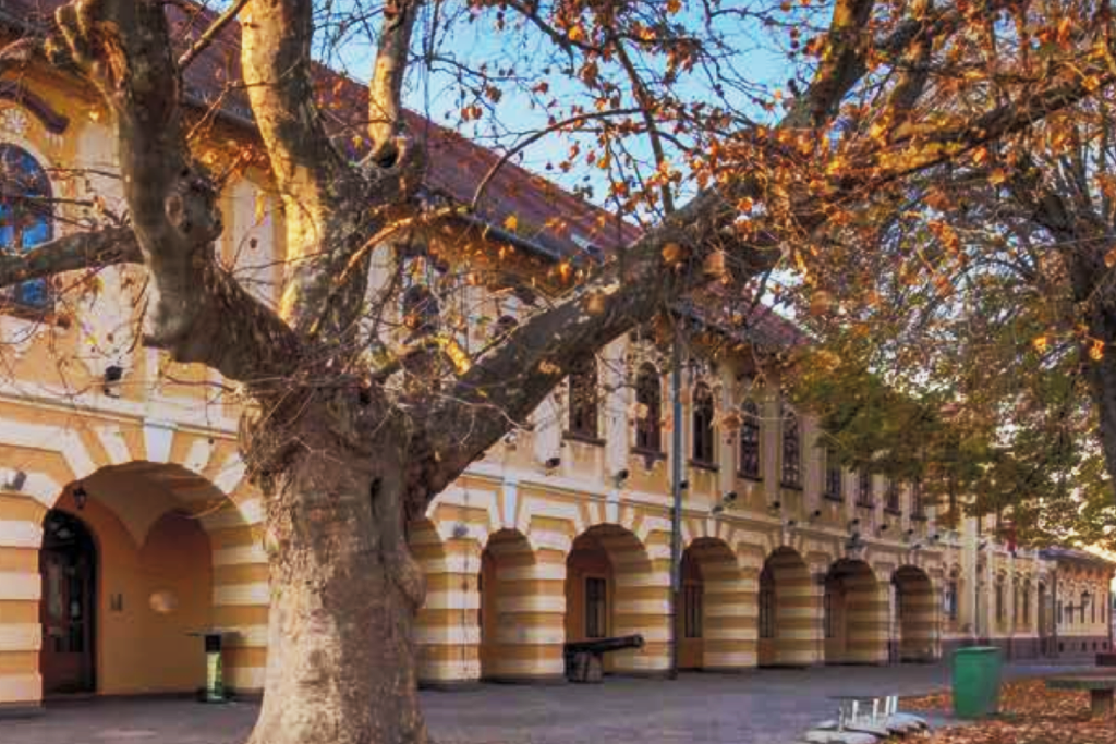 Gradski muzej Vinkovci